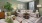 Open space living area with natural lighting